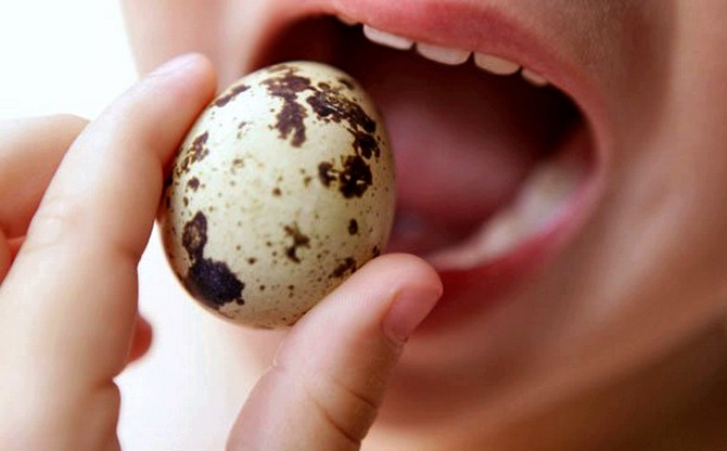 Польза перепелиных яиц для женщины