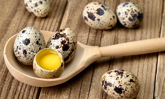 Полезны ли перепелиные яйца в сыром виде с утра