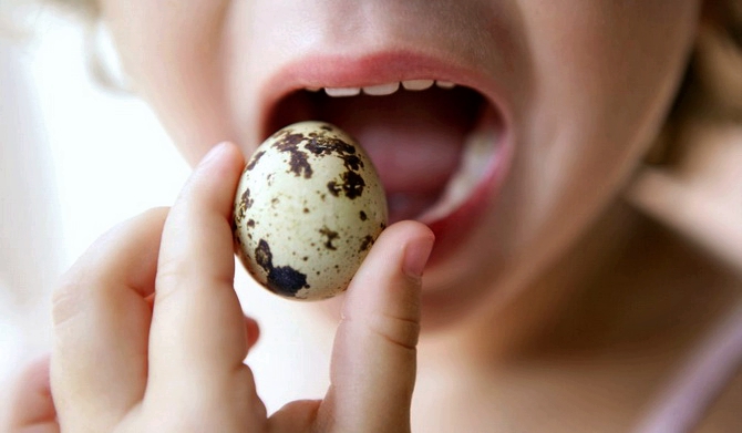 Полезно ли пить натощак перепелиные яйца